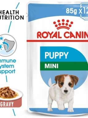 Tips on Buying the Perfect Pet Food