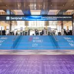 How to Verify the Credentials of a Luxury Chauffeur Service